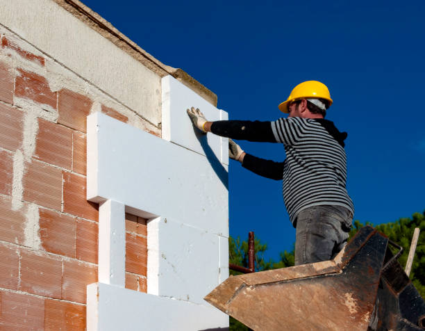 Best Insulation Contractors for Homes  in Marienville, PA