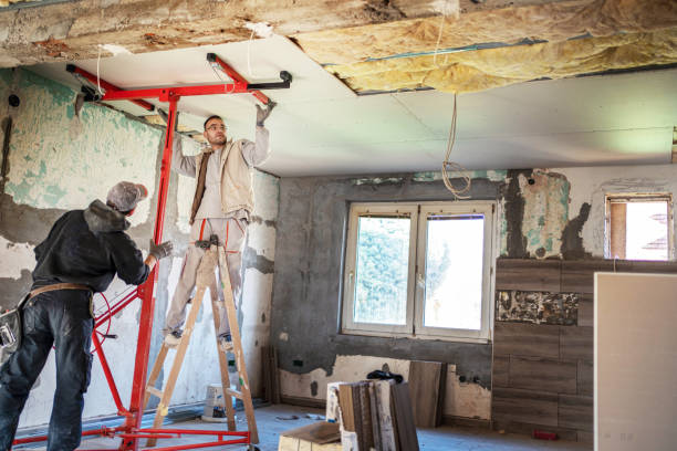 Best Insulation Removal Services  in Marienville, PA