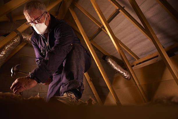 Best Insulation Replacement Services  in Marienville, PA