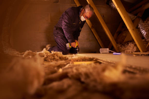 Best Wall Insulation Contractor  in Marienville, PA